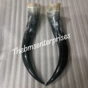 เขาวัวสำหรับรถยนต์, เขากวางคู่สำหรับบ้านและตกแต่งรถ, รถบรรทุกวัวเขาวัวกะโหลกและเขา, เขาวัวติดตั้ง - Product Image 3