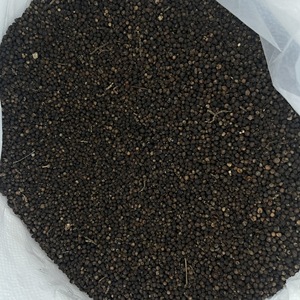 Pimienta negra cruda Preguntas frecuentes 400 450 500 550 GL DENSIDAD Mr Thomas Nguyen WS 84 789896886 - Product Image 3