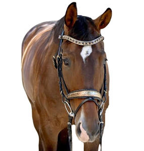 Snaffle Bridle Heavy Smart duty Made in Italy Cuero italiano de primera calidad - Product Image 3