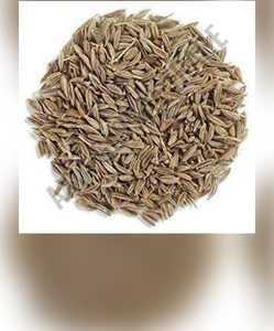 Graines de cumin biologiques pures Approvisionnement agricole durable Qualité supérieure à l'exportation disponible au meilleur prix auprès de l'exportateur indien - Product Image 1
