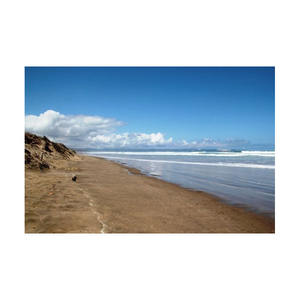 Bûches en bois de hêtre de haute qualité pour le travail du bois disponibles en vrac à un prix avantageux - Product Image 4