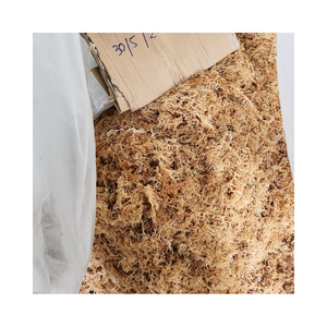 Algas marinas Eucheuma Cottonii de Vietnam secadas al sol con humedad estable para fabricantes de carragenina de alto grado - Product Image 3