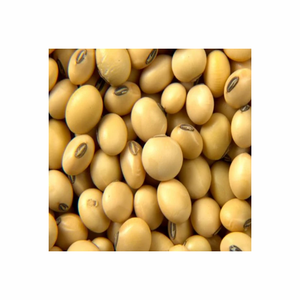 Suministro a granel de harina de soja de alta calidad para operaciones de producción de carne y productos lácteos para ganado, caballos y cerdos - Product Image 4