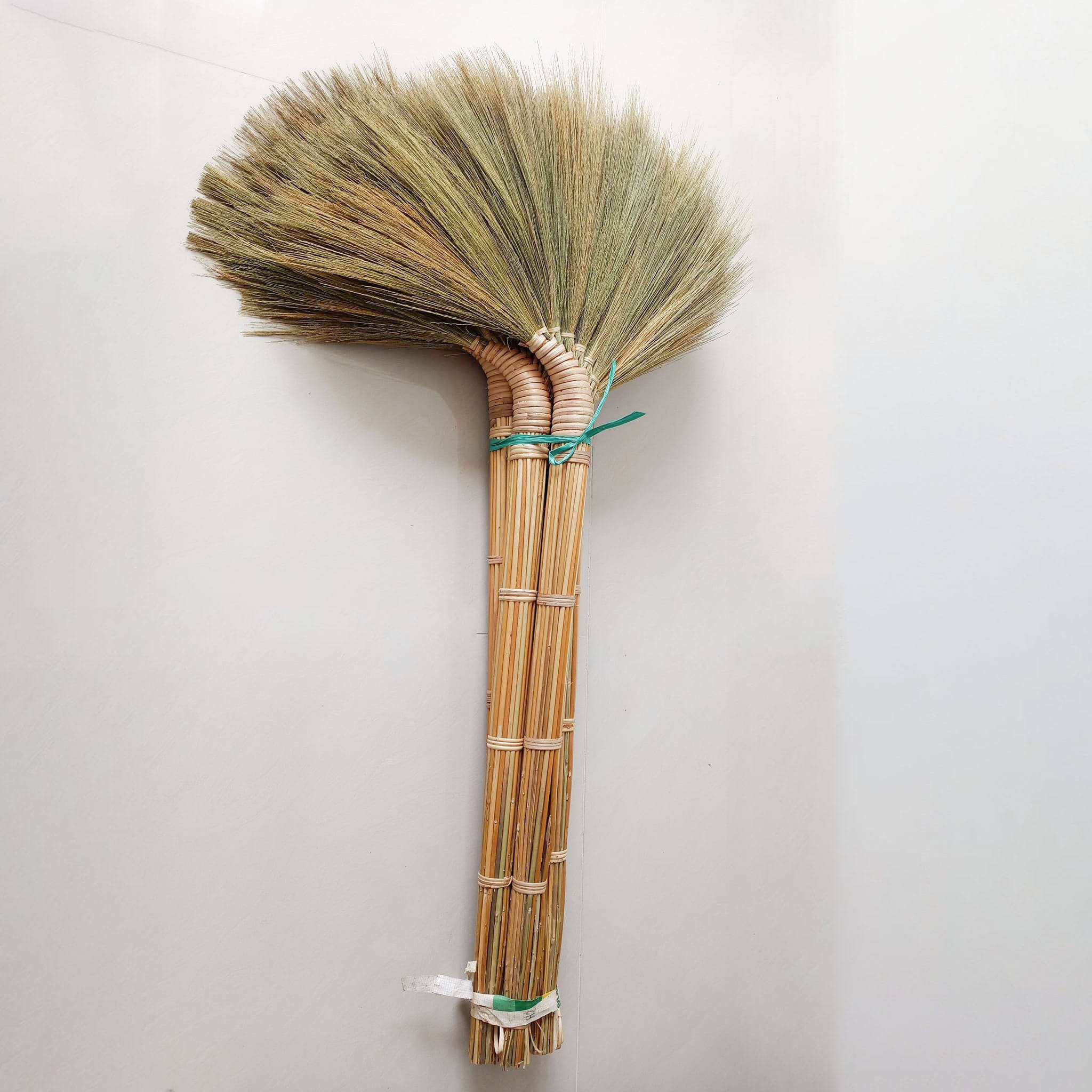 ธรรมชาติ