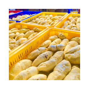 DURIAN ENTERO CONGELADO CON DURIAN ENTERO PERSONALIZADO-PROVEEDOR SUPERIOR FRUTAS CONGELADAS DE VIETNAM - Product Image 3