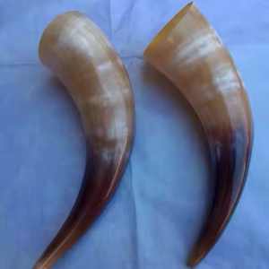 100% Cuerno vikingo natural para beber cerveza bebiendo cuerno de vaca hecho a mano por Artesanías de media luna - Product Image 3