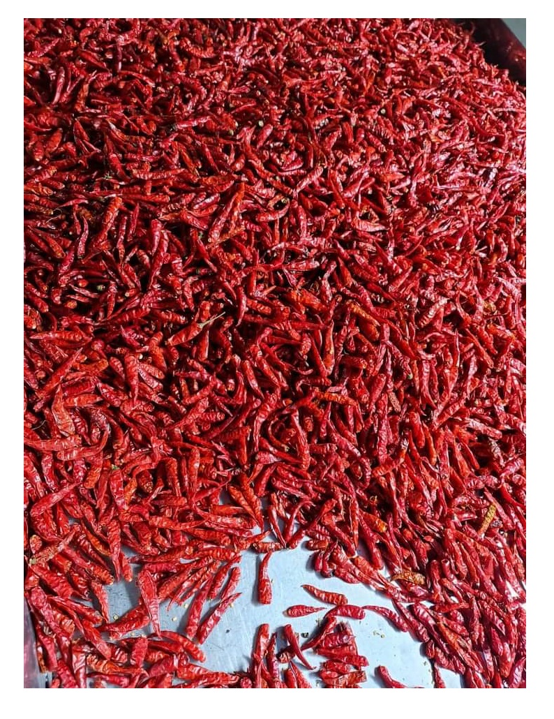 Bel merah kering bel merah panas cabai pedas bumbu harga pembeli Per Kg grosir pabrik pengiriman cepat jumlah besar dari Vietnam