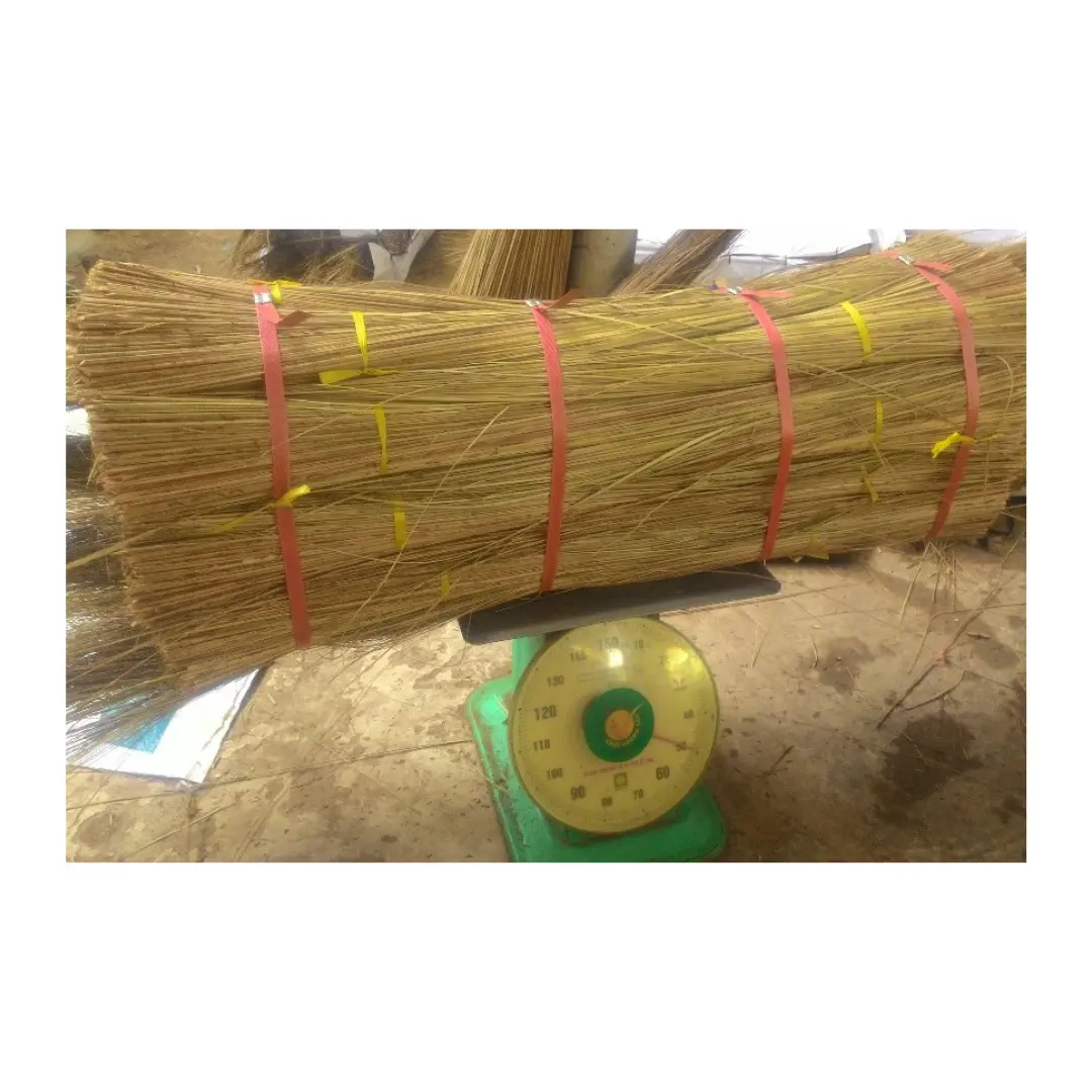 Traditionelle natürliche Kokosnuss-Besenstifte für Bodenreinigung/ Trocknungs-Besenstifte für Reinigung
