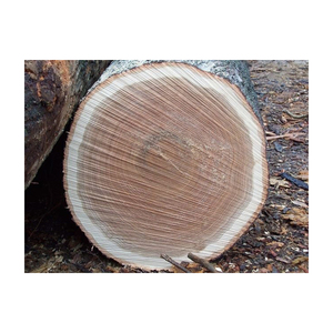 Madera de roble y haya, leña de troncos/manglares, leña de madera dura en venta, leña de madera dura, leña de abedul, roble y - Product Image 5