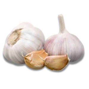 Poudre d'ail biologique 100% pure, ail blanc séché de haute qualité, 5-6 cm, export normal - Product Image 1