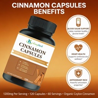 Capsules de suppléments de cannelle de Ceylan 1200mg avec logo personnalisé pour le soutien de la santé naturelle