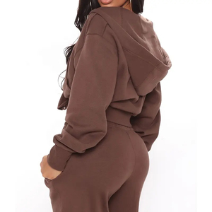 Femmes automne hiver pantalons de survêtement ensemble épais polaire survêtement avec fermeture éclair à capuche 100% coton survêtement écologique survêtement 2026 - Product Image 4