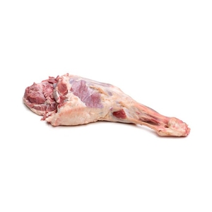 Viande de bœuf halal congelée riche en protéines, jambe entière avec os, viande fraîche congelée, idéale pour les entreprises de restauration et les importateurs mondiaux - Product Image 5