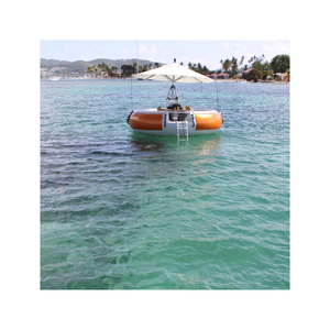 Bateau de beignet de barbecue rond avec moteur électrique d'auvent de parasol de gril de charbon de bois intégré pour la croisière de pique-nique d'eau - Product Image 2