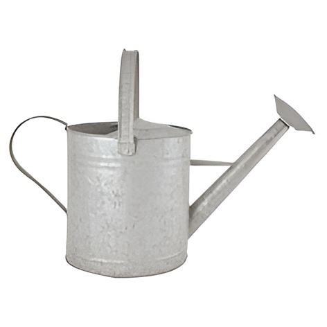 ตามที่แสดง