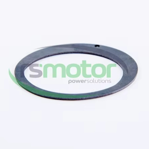 Disque d'entraînement de moteur RS-372138 Jenbacher - Product Image 1