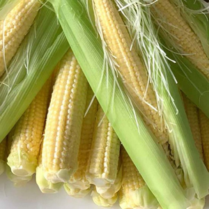 Maíz Bebé Congelado Superior, Directo de la Granja de Vietnam, Proceso de Cosecha y Empaque Rápido - Product Image 3