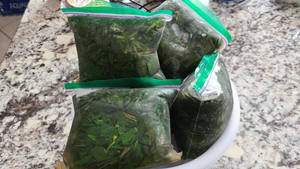 Feuilles de jute IQF congelées au Vietnam 227g feuilles de jute vertes pour soupe de crabe meilleur prix et haute qualité - Product Image 2