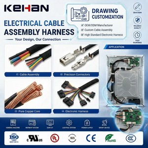 Ev aletleri üreticisi elektronik kablo demeti için OEM elektrik kablosu montaj kablo demeti - Product Image 1