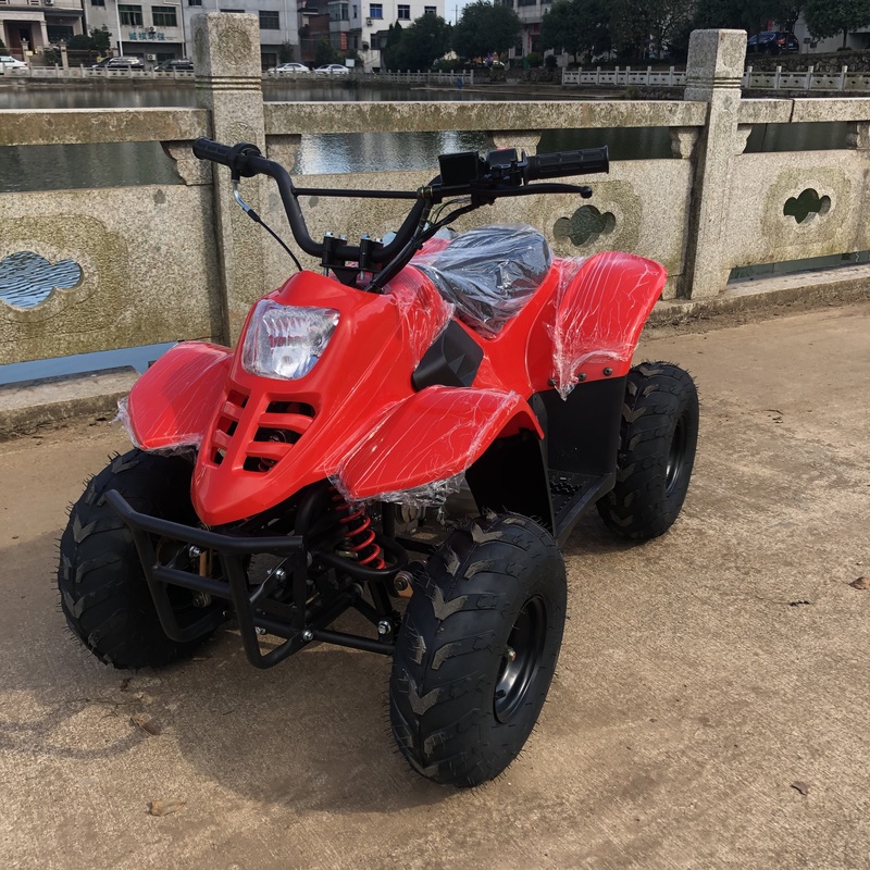 Kids Mini ATV Quad Bike Motorcycle