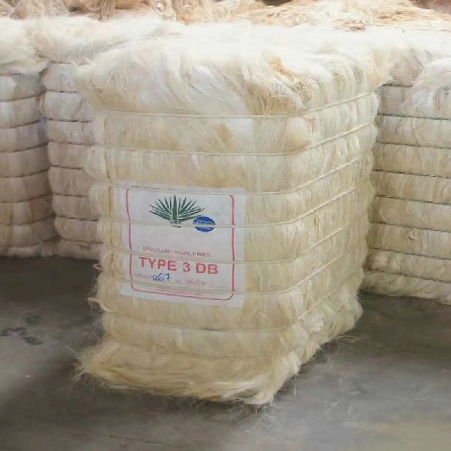 Fibre de sisal brut naturel/fibre de sisal UG/fibre de sisal de blanchiment pour la livraison mondiale de gypse