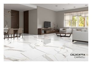 Baldosas de Porcelana para Piso 600X1200MM CALACATTA CARNOLI EUROPA Modernas Brillantes para Interiores - Product Image 2