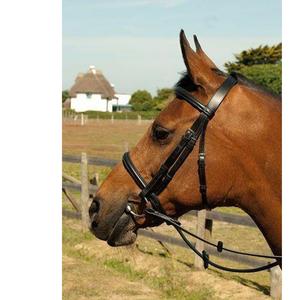 Bridas Cavesson de cuero inglés, equitación profesional negra, brida de caballo de buena calidad, logotipo personalizado, superventas, bajo - Product Image 1