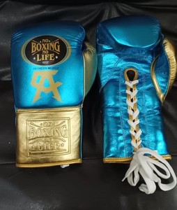 Guantes de Boxeo Premium No Boxing No Life – Guantes de Entrenamiento y Sparring de Alta Calidad - Product Image 2