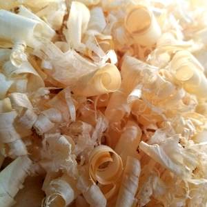 Virutas de madera de pino de la mejor calidad para ropa de cama de animales | Material estable de alta absorción | Producto de desecho agrícola al por mayor - Product Image 1