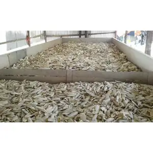 Selling High Quality Bone Dried Cuttlefish From Pakistan