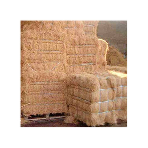 Exportadores de fibra de sisal Premium (100% sisal natural)-Comprar fibra de sisal, fibra de sisal de yeso, fibra de sisal de Tanzania - Product Image 5