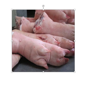 Orejas y Patas de Cerdo Congeladas - Paquete a Granel, Nutritivas, de la Mejor Calidad - Product Image 1