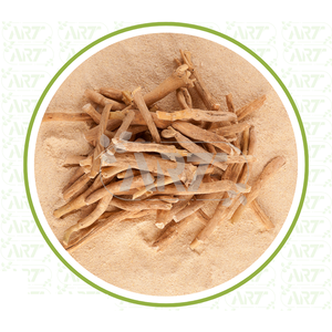 Racines d'Ashwagandha biologiques séchées et emballées pour une fraîcheur parfaite pour faire des teintures de tisanes et du bien-être traditionnel - Product Image 4