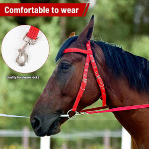 Customization Logo Low Price Horse Riding Bridles Solid Material <b>Top</b> Selling Horse Riding Bridles - Product Image 5