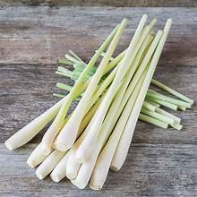 SUPPORT IMMUNITAIRE CITRONELLE CONGELÉE ÉTIQUETTE PROPRE CHAPÉE INGRÉDIENT À BASE DE PLANTE PURE POUR UNE CUISINE SAINE - Product Image 5