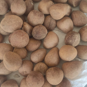 Noyaux de noix de coco blancs non OGM, qualité alimentaire, séchés au soleil, pour l'exportation et l'utilisation dans l'industrie alimentaire et pétrolière internationale - Product Image 6