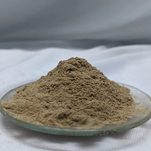 Extracto de Hierbas 2026, Extracto de Amla en Polvo 100% Natural de Primera Calidad, Marca Blanca Disponible en Cantidad a Granel para Exportador Indio - Product Image 1
