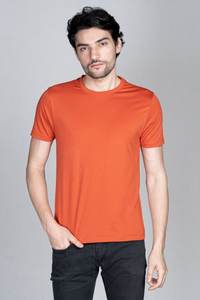 T-shirt uni pour homme 100% coton biologique Tissu tricoté Service OEM disponible - Product Image 2