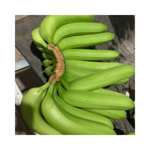 Vietnamese Good Quality Fresh Cavendish <b>Banana</b> <b>Sweet</b> Cavendish <b>Banana</b> Green Premium Quality Cavendish <b>Banana</b> for Export - Product Image 1