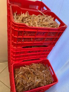 Meilleure vente Poisson séché Maw-L'un des poissons séchés les plus savoureux répond aux normes de haute qualité et d'exportation au Vietnam - Product Image 5