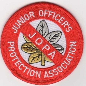 Parches Bordados Personalizados con Logotipo Bordado con Estilo, Parche Bordado con Diseño Personalizado con Tema de Animales de Dibujos Animados - Product Image 5