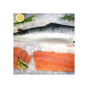 Filete de pescado de salmón del Atlántico congelado fresco Cabeza de salmón entero Contenido de mariscos Estilo seco Proceso de conservación del agua Grasa incluida - Product Image 2