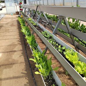 Serre hydroponique pour fraises, serre en plastique à canaux, serre pour la culture des fraises, <span class=keywords><strong>gouttière</strong></span> - Product Image 5