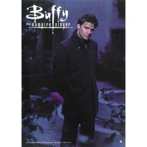 Buffy the Vampire Slayer Angel Catsuit <b>Poster</b> - Product Image 1