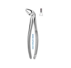 Fórceps de extracción de dientes de acero inoxidable de alta calidad Fig.4 Caninos inferiores y bicúspides Herramienta de cirugía oral dental quirúrgica - Product Image 4