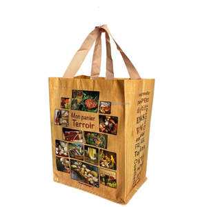 Bolsa de mano tejida de PP ecológica, logotipo personalizado, impermeable, reciclable, de algodón laminado, acabado brillante/mate, bolsa de compras de estilo moderno - Product Image 2