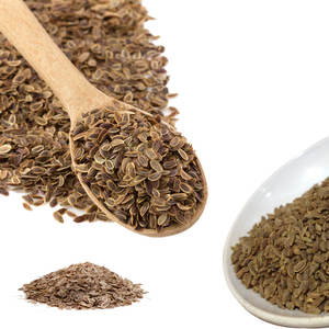 ผักชีฝรั่ง | สมุนไพรแห้งพรีเมี่ยมสำหรับสารแต่งกลิ่น - Product Image 5