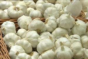 Poudre d'ail biologique 100% pure, ail blanc séché de haute qualité, 5-6 cm, export normal - Product Image 4