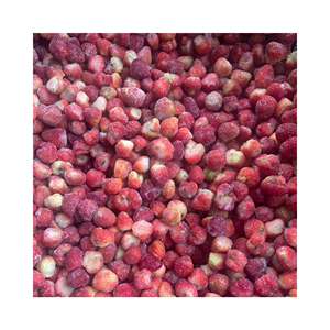 Tranches de fraises lyophilisées de qualité supérieure, matière : fraises naturelles ; utilisation : garniture pour céréales ; origine : fruits secs du Vietnam - Product Image 5