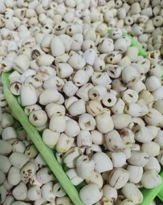 เมล็ดบัวแห้งสดปอกเปลือก - Product Image 5